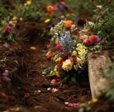 cemeteries in Albany, NY