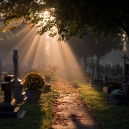 Sunlight streams through the trees onto a quiet cemetery path, illuminating headstones and autumn leaves in a calm, reflective setting. This image complements Best Times to Visit a Cemetery for Quiet Reflection in Albany Area and captures the peaceful atmosphere often experienced in cemeteries in Delmar, NY.