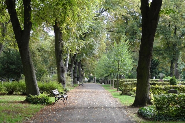 A peaceful tree-lined walkway with a bench and natural landscaping, reflecting the serene atmosphere often associated with green burial spaces. This illustrative image connects to why green burial appeals to environmentally minded families and the eco-conscious options they may consider in cemeteries in Schenectady, NY.