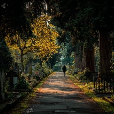 Person walking alone on a tree-lined cemetery path in Schenectady, NY with autumn foliage and sunlight. 